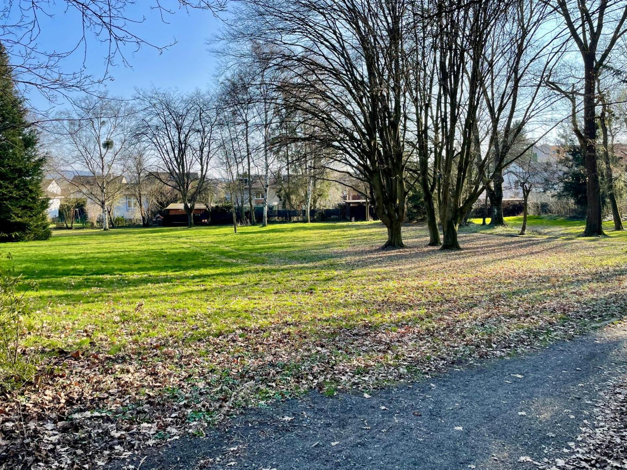 Apartment By The Park, For Bike Lovers Alsfeld Eksteriør bilde